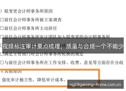 视频标注审计要点梳理,质量与合规一个不能少 视频标注审计要点梳理,质量与合规一个不能少